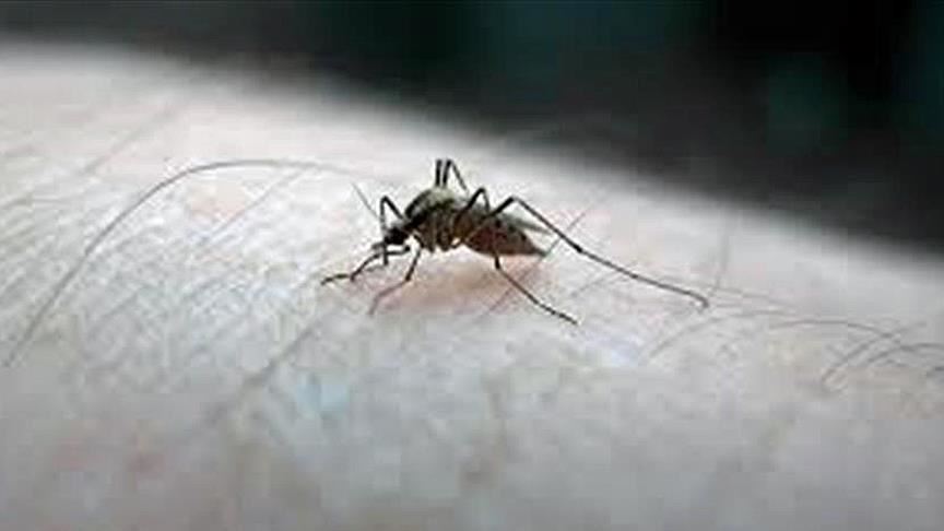 Malaysia targetkan status bebas malaria pada 2020