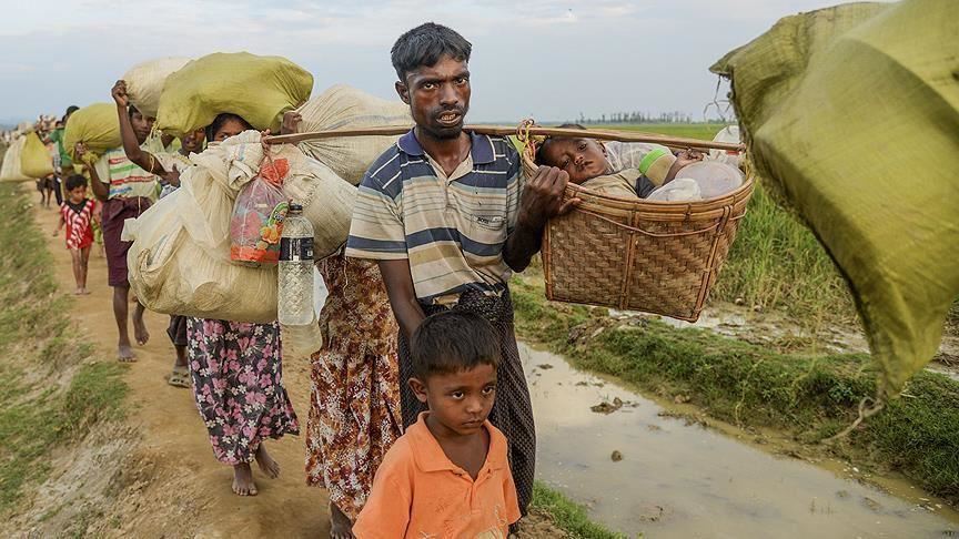 Regional development can resolve Rohingya issue: China