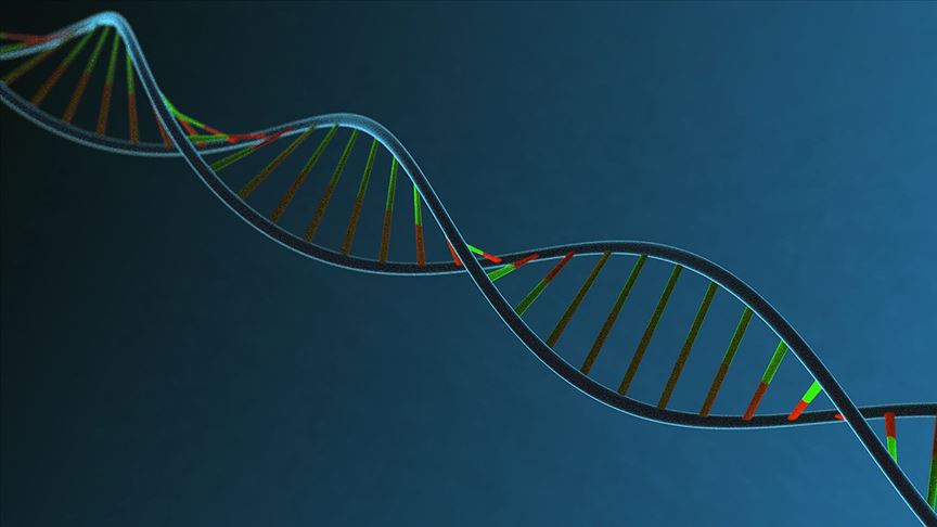 İnsan DNA'sının müziği notalara döküldü 