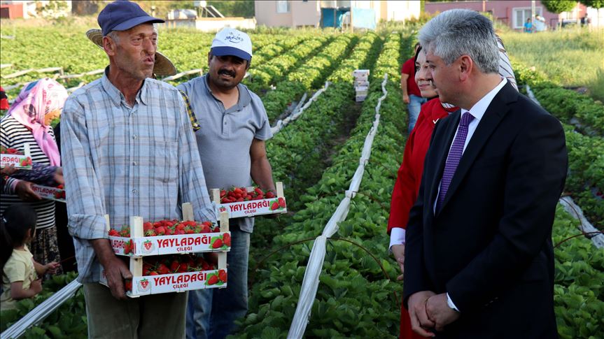 Çîlekê Yayladaxiyê dê îxracî Rûsyayê bikin