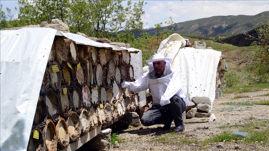 بهدلیس.. ئامادهكاری ههنگهوانان بۆ چوون بەرەو بەرزاییەکان