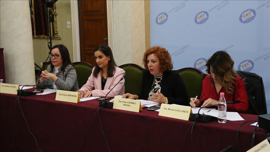 Shqipëri, Aleanca e Grave Deputete takim për problematikat