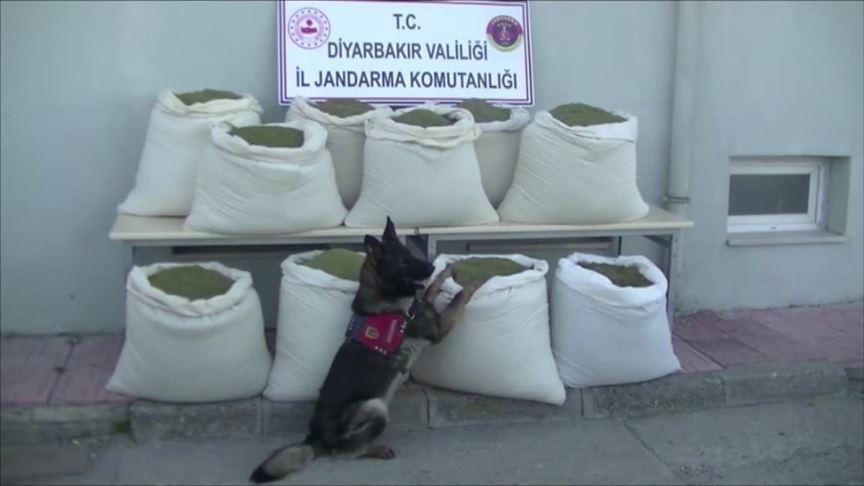Diyarbakır'da 346 kilogram esrar ele geçirildi