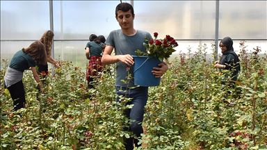 Bu okulda geleceğin seracıları yetiştiriliyor