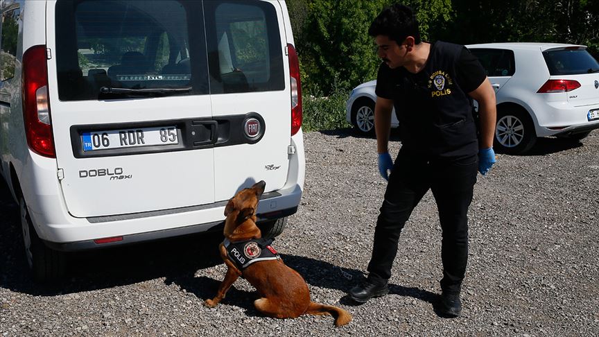 Ankara'nın güvenliği hassas burunlara emanet