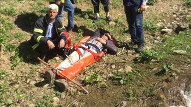 Ji çiyê tot bû û birîndar ket