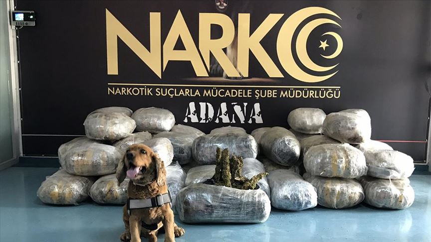 Turska policija zaplijenila više od 250 kilograma marihuane