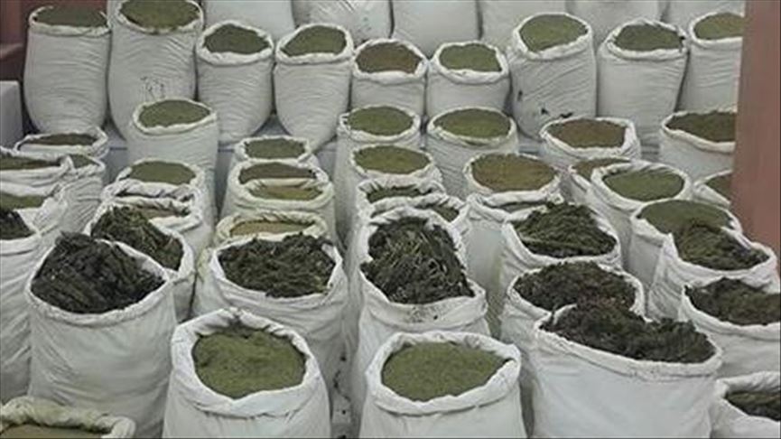 Turkish police seize more than 250 kg of marijuana
