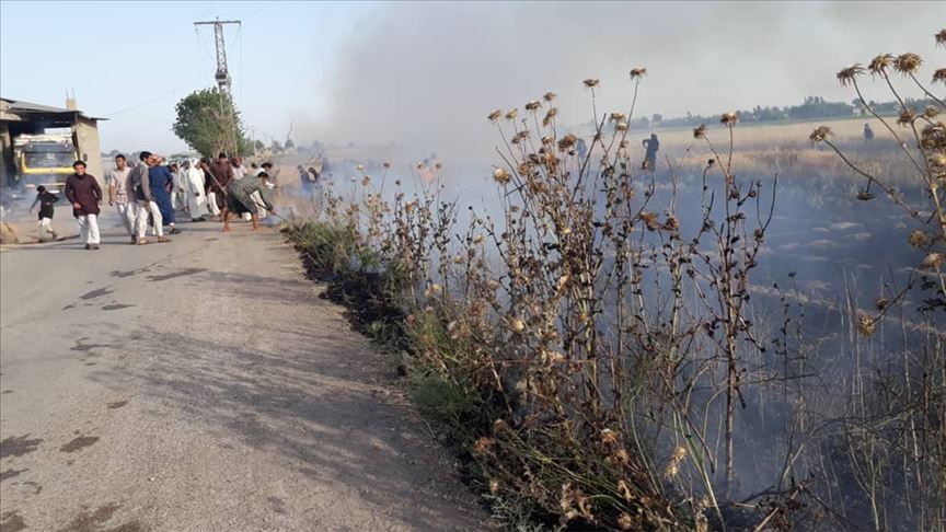 Terör örgütü YPG/PKK Arapların tarım arazilerini ateşe veriyor