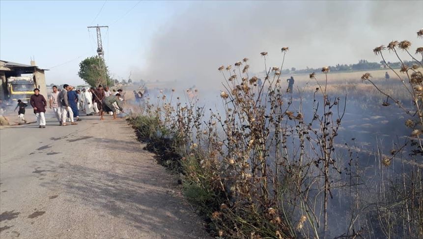 Sirija: Teroristi YPG/PKK-a zapalili poljoprivredna zemljišta