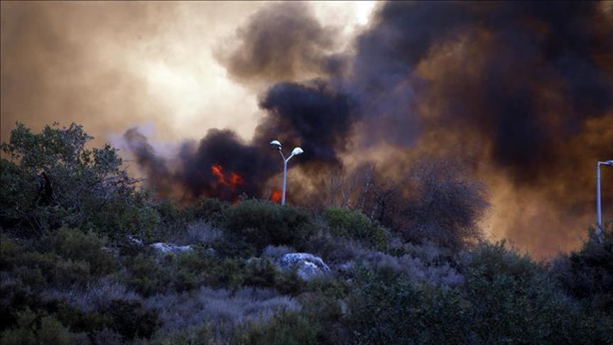 عشرات الحرائق في إسرائيل بفعل ارتفاع درجات الحرارة