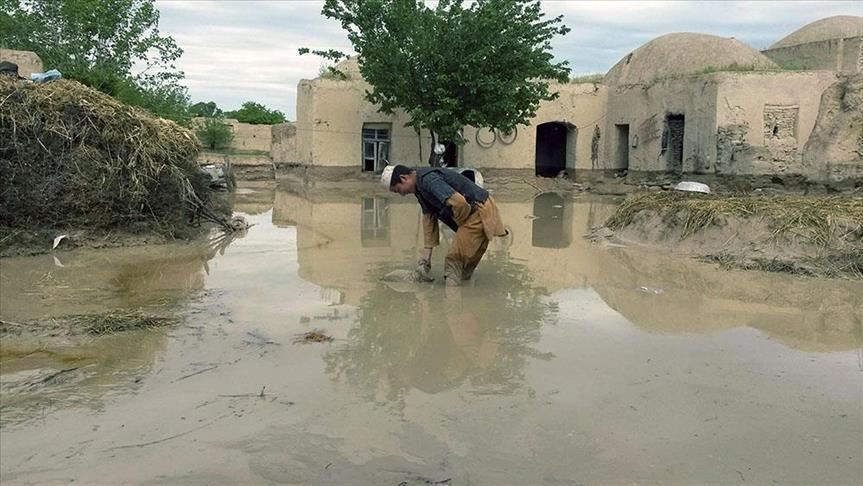 Flash floods kill 12 people in Afghanistan 