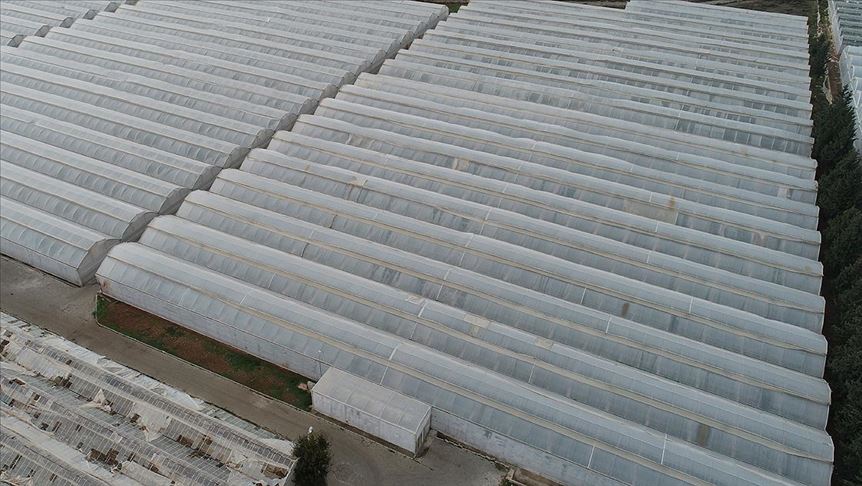 'Tarıma yönelik kredi paketiyle gıda enflasyonu dengelenir'