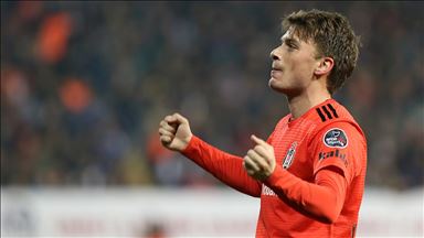 Adem Ljajic'e milli davet