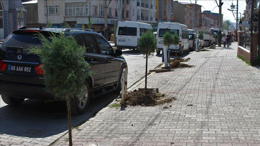 Li Ozalpê hezar û 300 dar hatin danîn