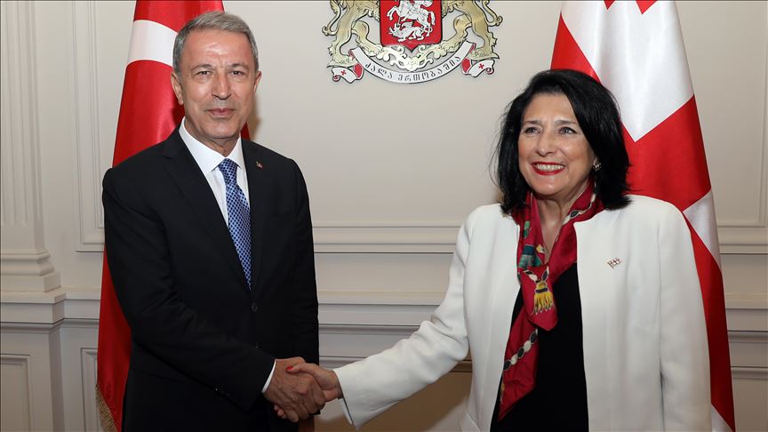 دیدار وزیر دفاع ترکیه با رئیس جمهور گرجستان