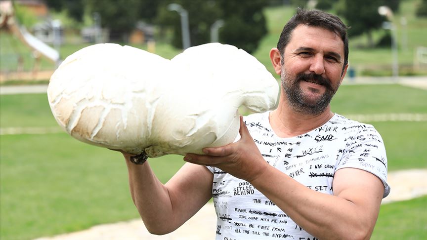 7 kilo 125 gramlık dev mantar bulundu