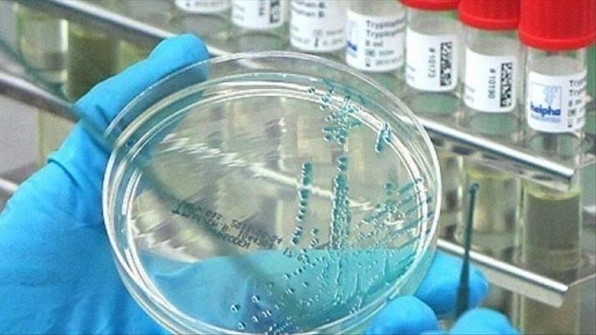 Termina emergencia por brote de fiebre de Lassa en Nigeria