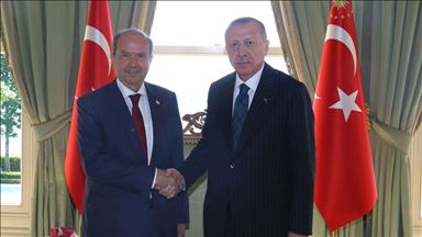دیدار اردوغان با نخست وزیر جمهوری ترک قبرس شمالی
