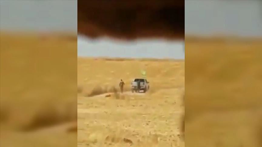 Террористы YPG/PKK уничтожают урожай жителей Сирии