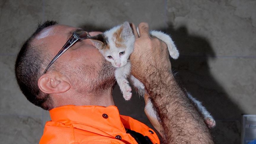 Istanbul: Road worker saves kitten with breath of life