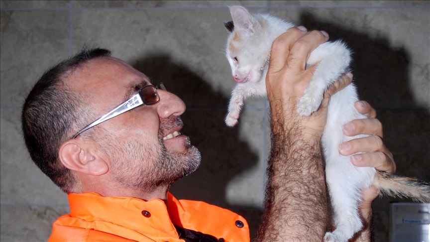 Stamboll, punëtori shpëton macen me frymëmarrje artificiale