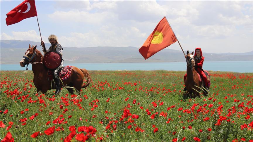 Qirgiz Erdîşê bi zeviya xaşxaşkê didin nasandin