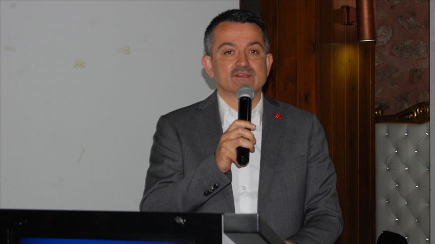 Bakan Pakdemirli'den kanolaya destek açıklaması