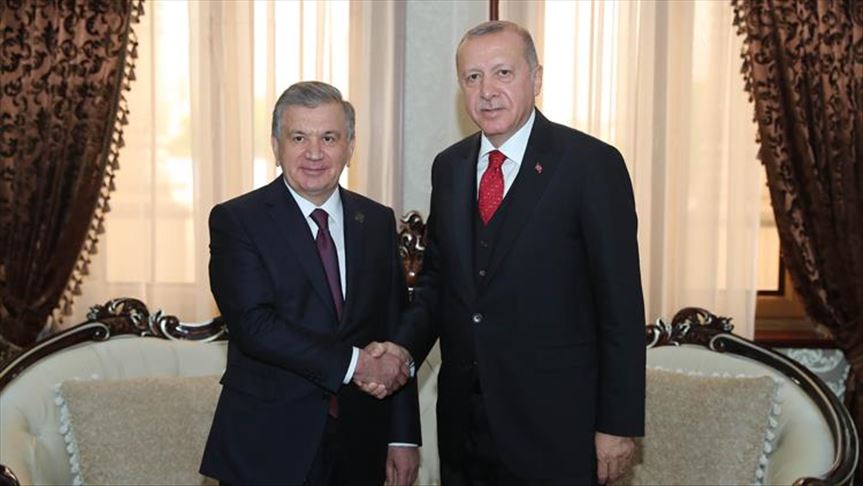 دیدار روسای جمهور ترکیه و ازبکستان در دوشنبه