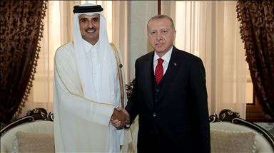 رئیس جمهور ترکیه با امیر قطر دیدار کرد