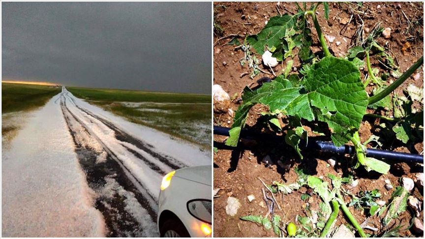 Kırşehir'de dolu ve sel 470 bin dekar araziye zarar verdi
