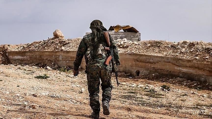 ‘European Daesh fighters must return to face trial’