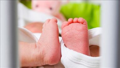 '415,000 Syrian babies born in Turkey since 2011'