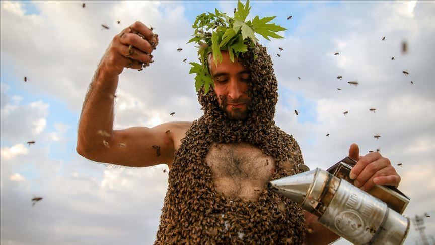 Turkey's 'Bee-Man' all abuzz over world record quest