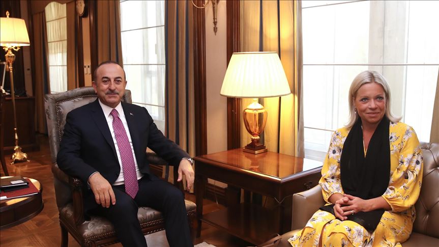 Turkish FM meets UN envoy for Iraq