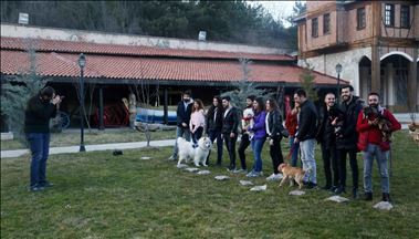 Turska: Profesionalno fotografisanje plaćaju hranom za životinje