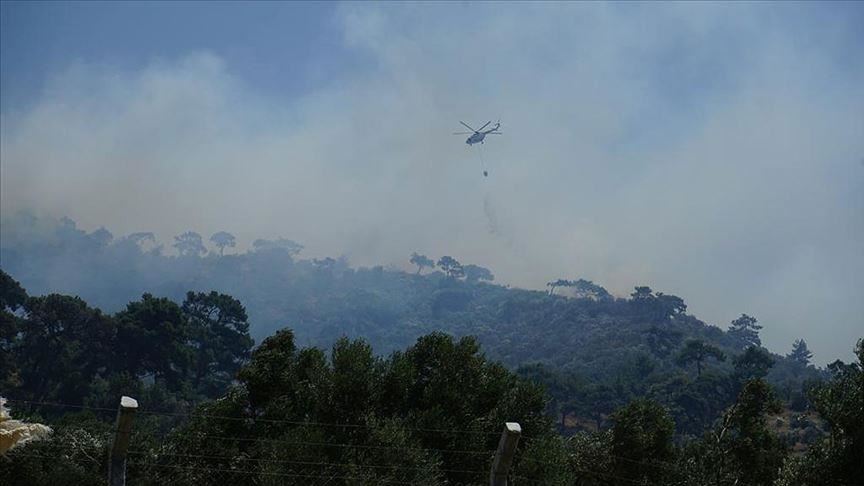 Forest fire consumes 25 acres of land in NW Turkey