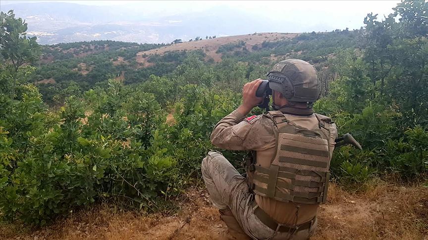 Terör örgütü PKK'ya Bitlis'te darbe