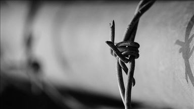 Syria: Torture kills 14,000+ civilians since civil war