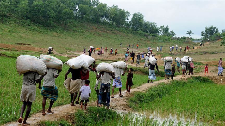 Rohingya group backs ICC probe into Myanmar’s atrocity