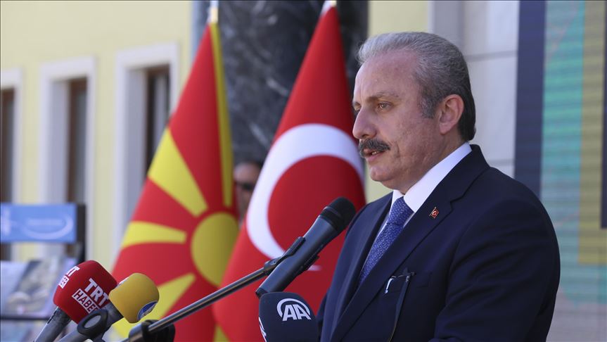 'Turkey backs North Macedonia's NATO bid'