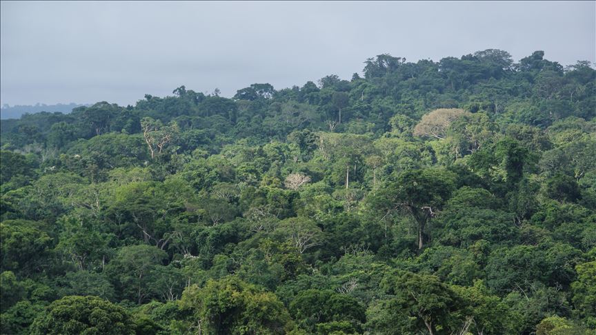 Mineros invaden tierras de indígenas del Amazonas brasileño