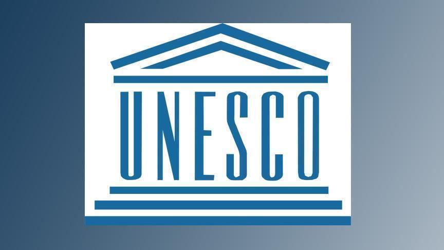 Turkey reelected to executive council of UNESCO body 