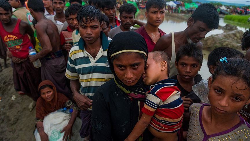 Dutch House of Reps adopts resolution for Rohingya