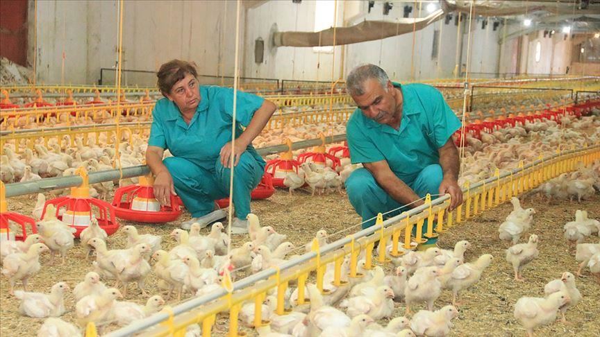 Di bihara duyemîn a emrê xwe da bi alîkariya dewletê bûn xwedî kargeh