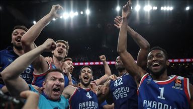Anadolu Efes'e Avrupa Ligi'nden ödül