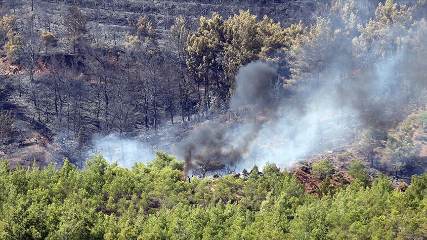 Fethiye'de çıkan orman yangını söndürüldü