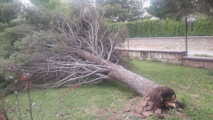 Fırtına Avanos'ta hayatı olumsuz etkiledi