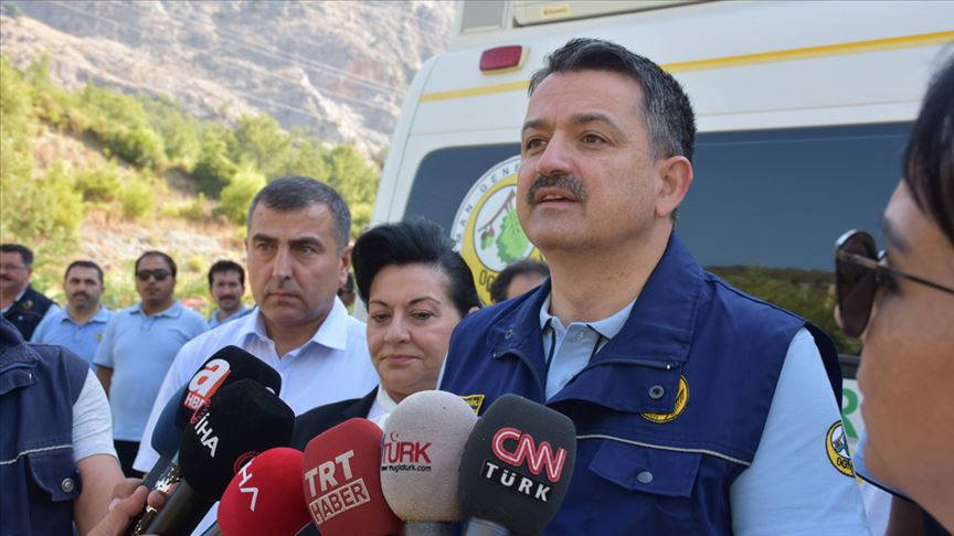Bakan Pakdemirli: Muğla'daki orman yangınından 350-400 hektar alan etkilendi