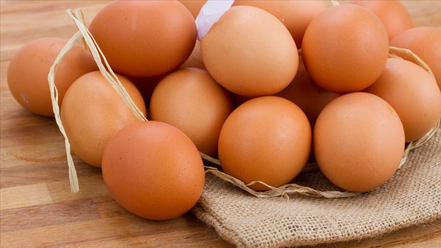 Yumurtada ihracat sıkıntısı